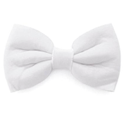 White plush bow tie