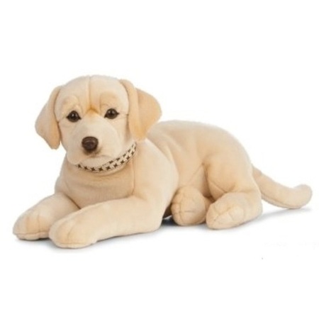 hoog Rijden meteoor XL Knuffel Labrador hond blond 60 cm knuffels kopen - bij Fun en Feest snel  en voordelige geleverd