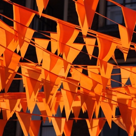 Buurtversiering Oranje vlaggenlijnen 100 meter brandvertragend